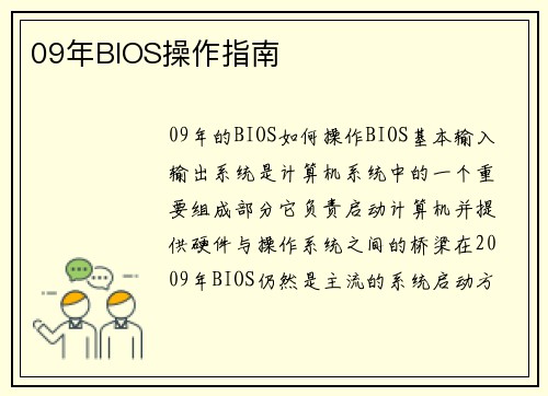 09年BIOS操作指南